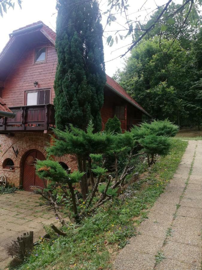 Mohas Vendeghaz Koszeg Mohas Ut 107 Hotel Bagian luar foto